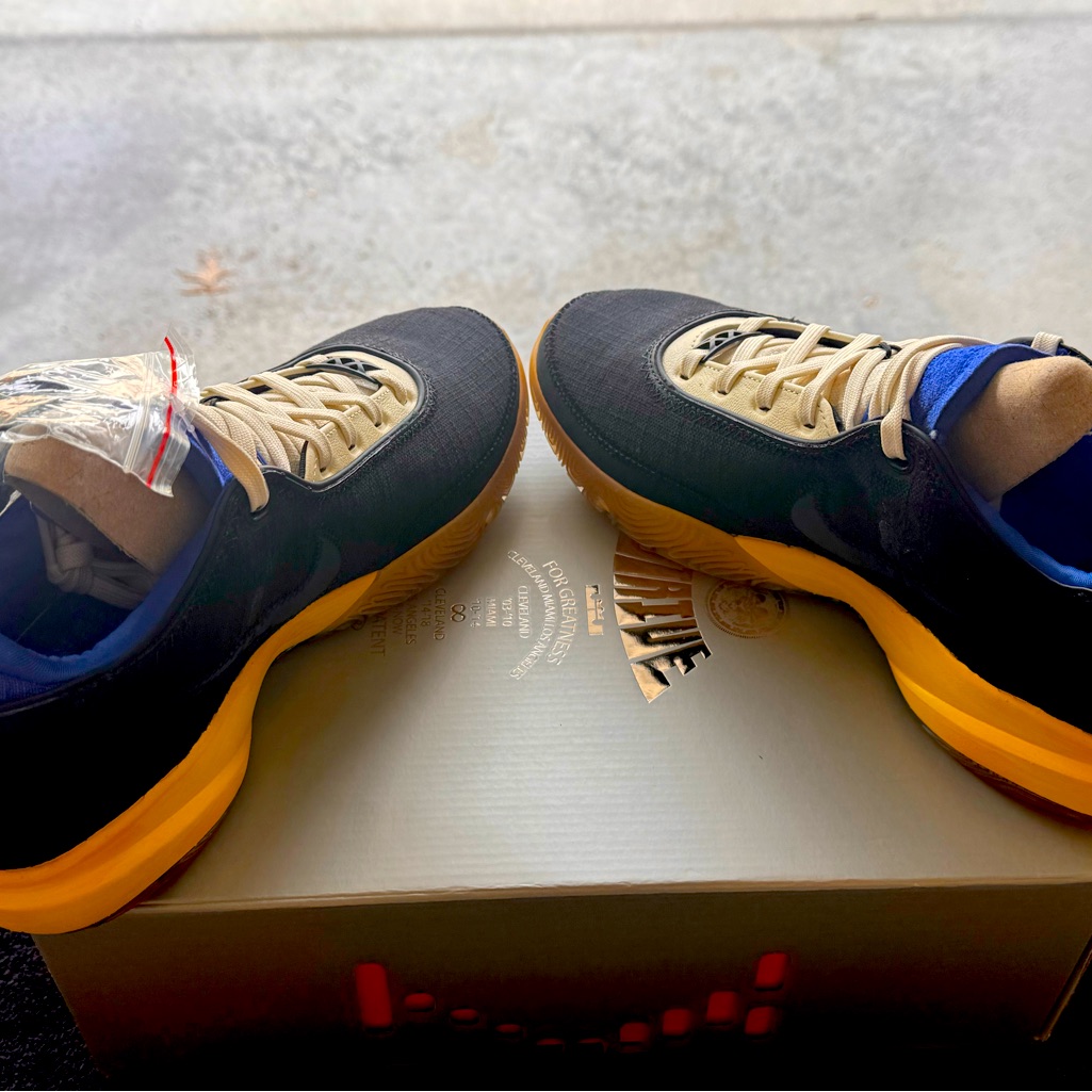 New Lebron 20 Speak Your Truth